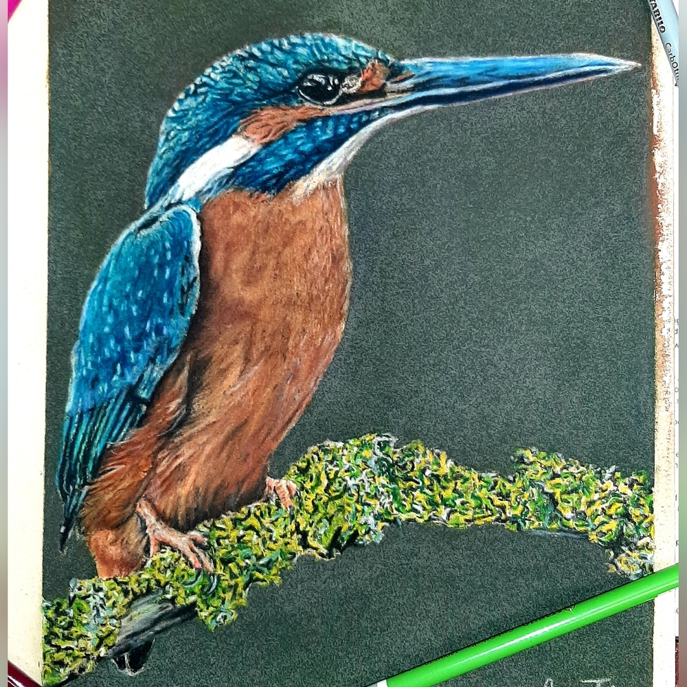 Custom commissioned art work. EXAMPLE OF WORK. NOT FORSALE